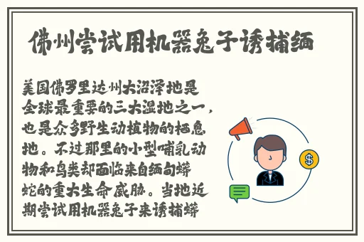 啦啦啦WWW中文视频